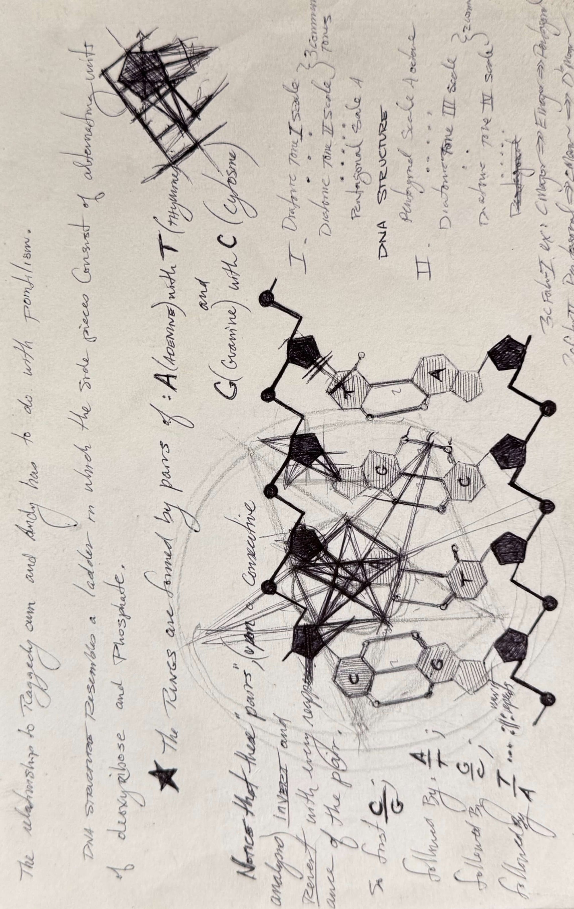 Page from the handwritten theory archive of Tommy Hoppe