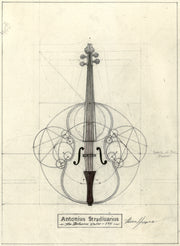 The Stradivarius violin drawing
